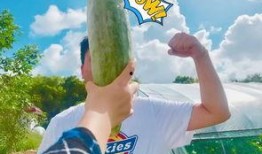 今日吃瓜热门大瓜必看大瓜网红 体育圈饭圈化,今日热门大瓜解析，体育圈饭圈化现象深度剖析